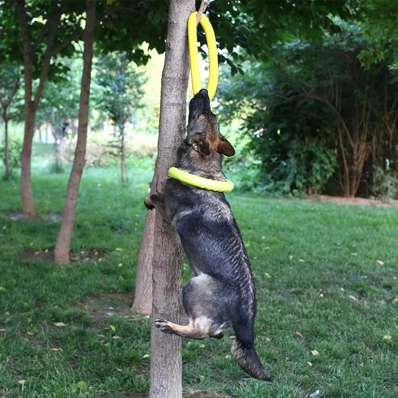 Training Ring Puller