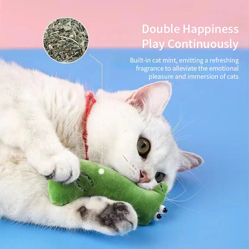 Catnip Toy